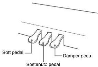 Soft pedal Sostenuto pedal Damper pedal