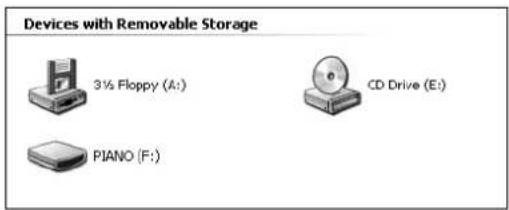 Devices with Removable Storage 3½ Floppy (A:) CD Drive (E:) PIANO (F:)