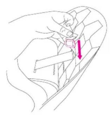 Anex m/type - Safety belts height adjustment - 6