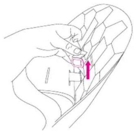 Anex m/type - Safety belts height adjustment - 2