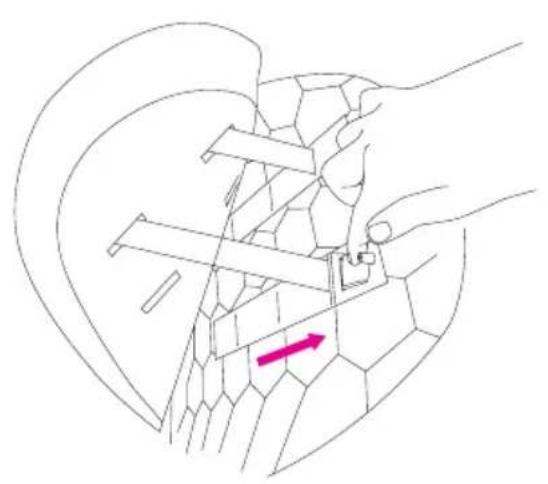 Anex m/type - Safety belts height adjustment - 5