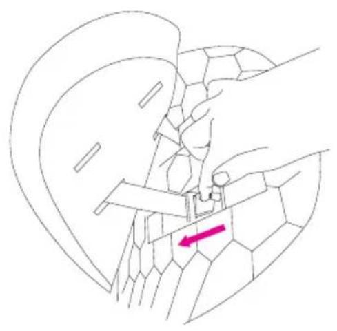 Anex m/type - Safety belts height adjustment - 3
