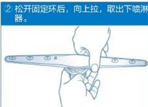 ②松开固定环后,向上拉,取出下喷淋器。