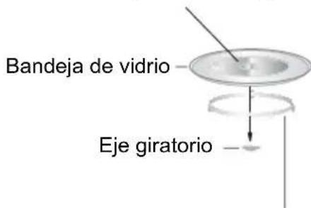 Bandeja de vidrio Eje giratorio