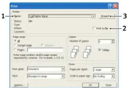 Print Name: Printer Name Status: Idle Type: Where: Comment: Print to file Page range All Current page Selection Pages: Enter page numbers and/or page ranges separated by commas. For example, L3.8-12 Copies: Number of copies: Collage Print size: Document Print: All pages in range Zoom: Pages per sheet: 1 page Scale to paper size: No Scaling Options... OK Close