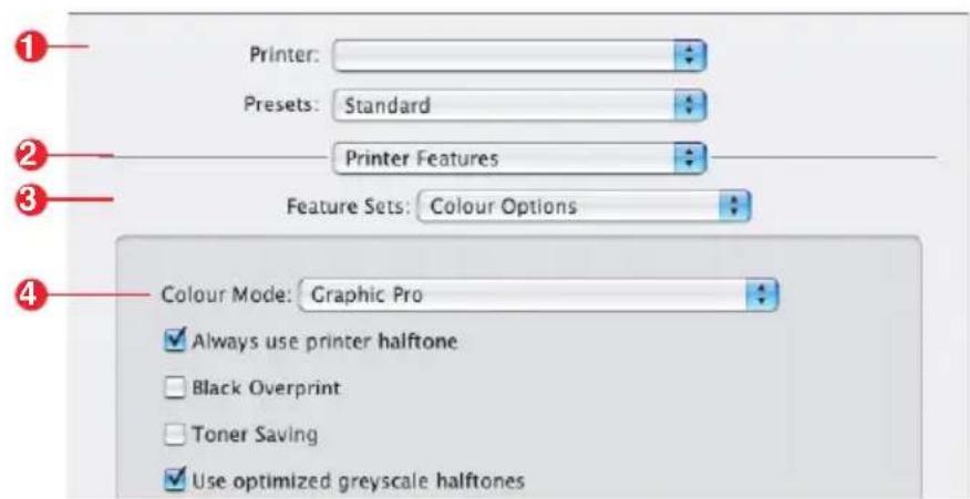 Printer: Presets: Standard Printer Features Feature Sets: Colour Options Colour Mode: Graphic Pro Always use printer halftone Black Overprint Toner Saving Use optimized greyscale halftones