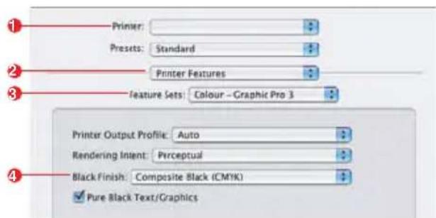 1 Printer: Presets: Standard Printer Features feature Sets: Colour - Graphic Pro 3 Printer Output Profile: Auto Rendering Intent: Perceptual Black Finish: Composite Black (CMYK) Pure Black Text/Graphics