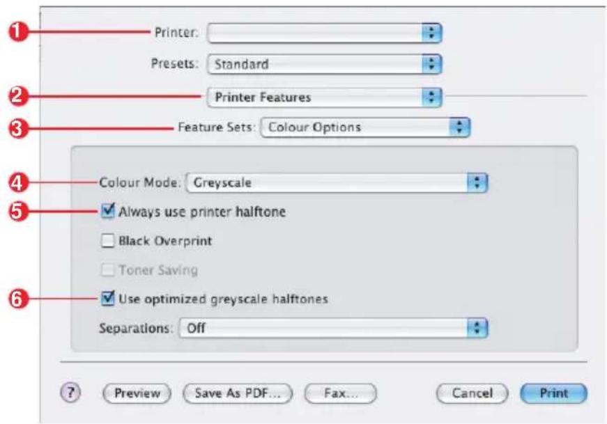 Printer: Presets: Standard Printer Features Feature Sets: Colour Options Colour Mode: Greyscale Always use printer halftone Black Overprint Toner Saving Use optimized greyscale halftones Separations: Off Preview Save As PDF... Fax... Cancel Print