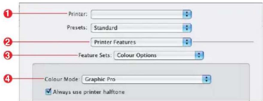 Printer: Presets: Standard Printer Features Feature Sets: Colour Options Colour Mode: Graphic Pro Always use printer halftone