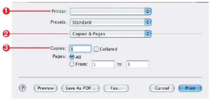 Printer: Presets: Standard Copies & Pages Copies: 1 Collated Pages: All From: 1 to: 1 Preview Save As PDF... Fax... Cancel Print