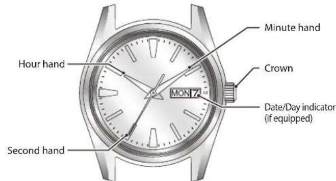 CITIZEN Eco-Drive AW115007E - Component identification - 1