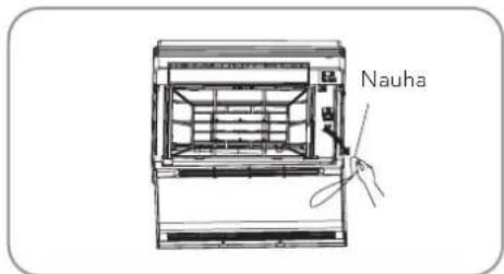 Nauha