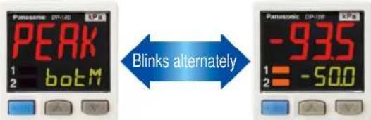 Panasonic DP-100 LPa PERK 1 botM 2 Blinks alternately Panasonic DP-100 LPa -935 1 -500