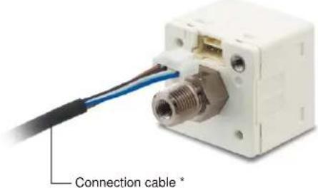 Connection cable *
