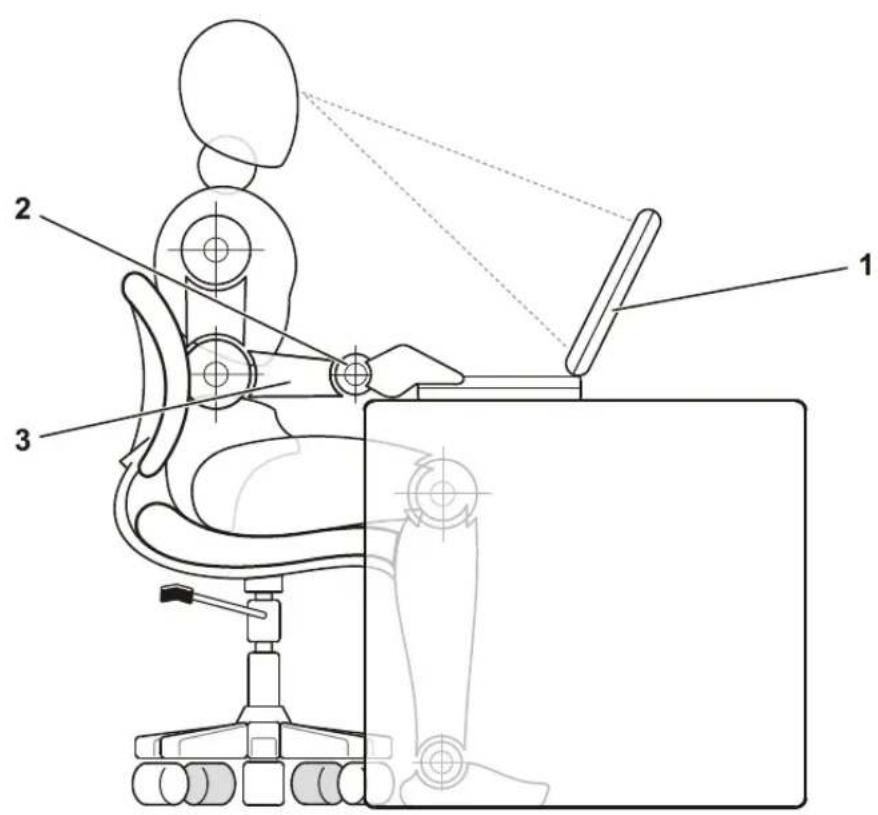 DELL Latitude C810 - Ergonomska uporaba računalnika - 3