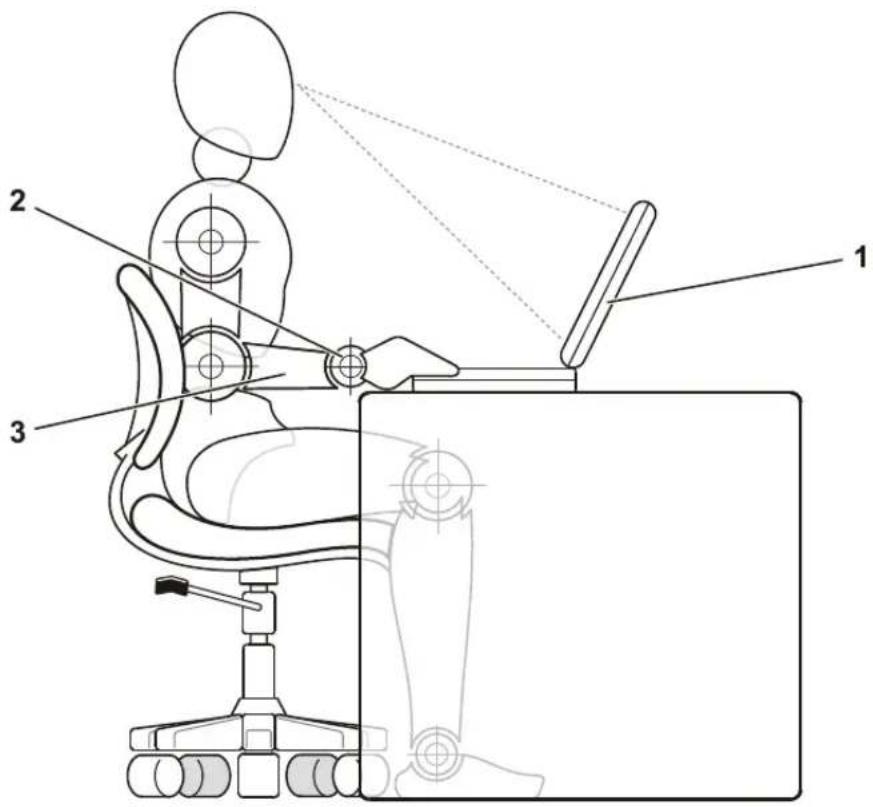 DELL Latitude C810 - Ergonomiska datorvanor - 3