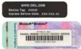 DELL Dimension 9200c - Hvad söger du? Find det her - 2
