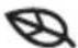 AEG TR946P95S - Display - 10