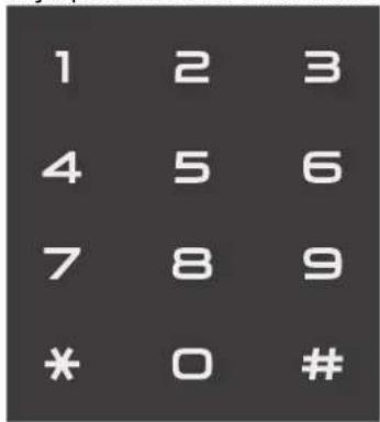 1 2 3 4 5 6 7 8 9 * 0 #