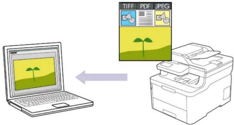 TIFF PDF JPEG ←