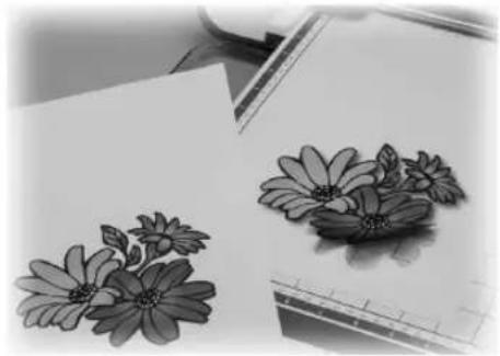 Black-and-white sketch of two daisy-like flowers on paper, no text or symbols present