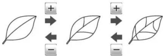 graph TD A[" "] --> B["+"] B --> C["-"] D[" "] --> E["+"] E --> F["-"] G[" "] --> H["+"] H --> I["-"]
