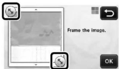 Frame the image.