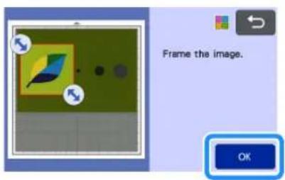 Frame the image. OK