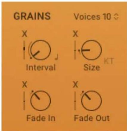 GRAINS X Interval Voices 10 ◇ X Size KT X Fade In X Fade Out