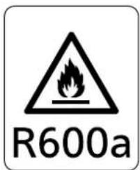 R600a