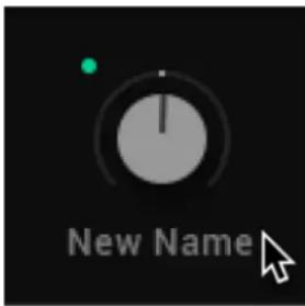 New Name
