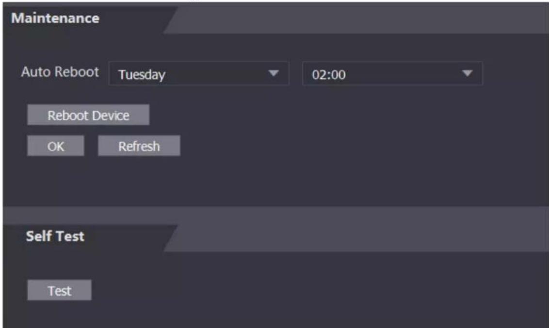 Maintenance Auto Reboot Tuesday 02:00 Reboot Device OK Refresh Self Test Test