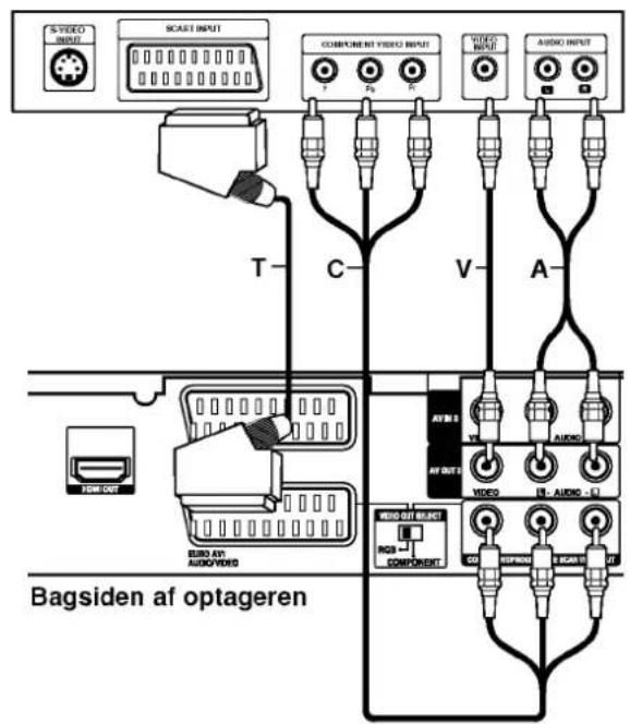 STVIDEO INPUT SCAST INPUT COMPONENT VIDEO INPUT T P2 R1 VIDEO INPUT AUDIO INPUT T C V A AFM3 AVG AVG OUT VIDEO AUDIO L Bagsiden af optageren EURO AVI AUDIOVIDEO COMPONENT L L L L L