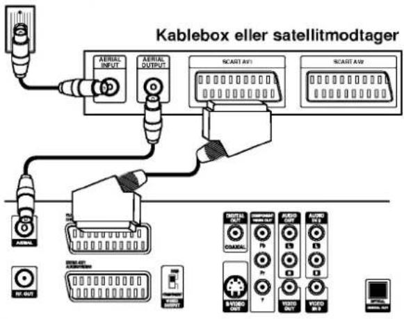Kablebox eller satellitmodtager AERIAL INPUT AERIAL OUTPUT SCAST AW1 SCAST AW2 AIRS AIRS AIRS DRAGONAL DRAGONAL Pb Pb Pb VDDO OUT VDDO OUT VDDO OUT