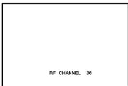 RIF CHANNEL 38