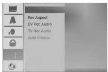 Rec Aspect DV Rec Audio TV Rec Audio Auto Chapter