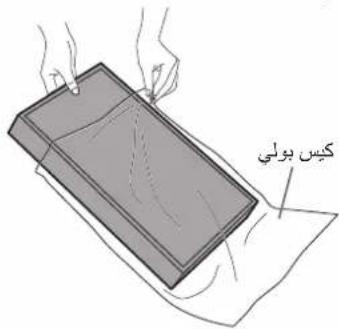 کیس بولی
