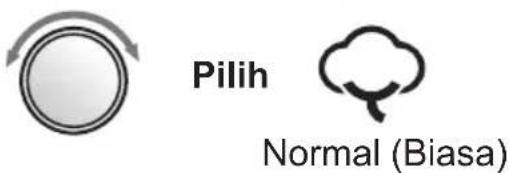 Pilih Normal (Biasa)