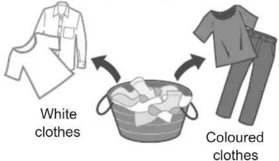 White clothes Coloured clothes