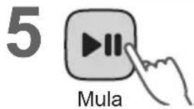 5 Mula