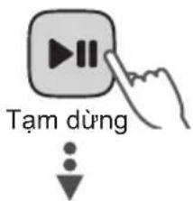 Tạm dùng