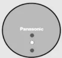 Panasonic