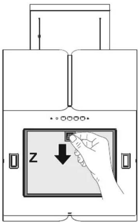 z
