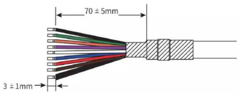 70 ± 5mm 3 ± 1mm