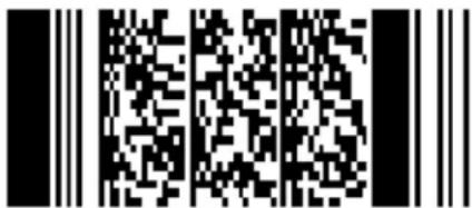 Black and white QR code image with vertical bar patterns on both sides