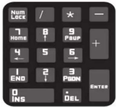 Num Lock / * — 7 Home 8 ↑ 9 Poup + 4 ← 5 6 → 1 END 2 ↓ 3 PON ENTER 0 INS DEL