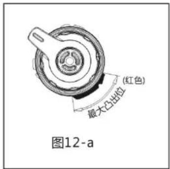 (红色) 最大凸出径 图12-a