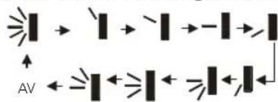 AV