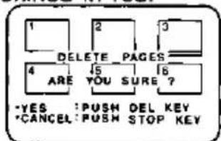 1 DELETE PAGES 2 3 4 ARE YOU SURE 6 ? *YES : PUSH DEL KEY *CANCEL: PUSH STOP KEY