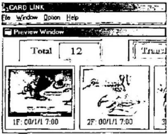 CARD LINK File Window Option Help Preview Window Total 12 True 1F: 00/1/1 7:00 2F: 00/1/1 7:00 31